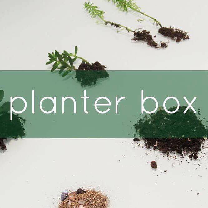 planter-box